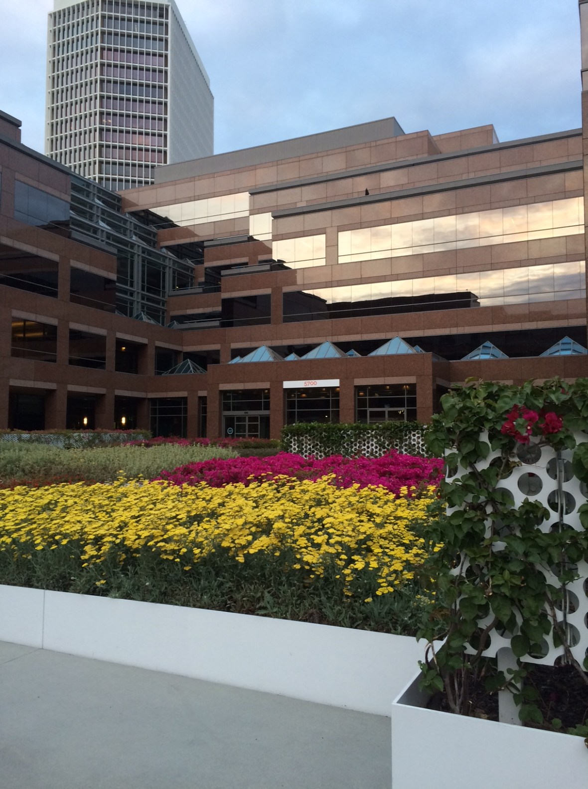 D&D Advertising! Love me some Amanda Woodward!