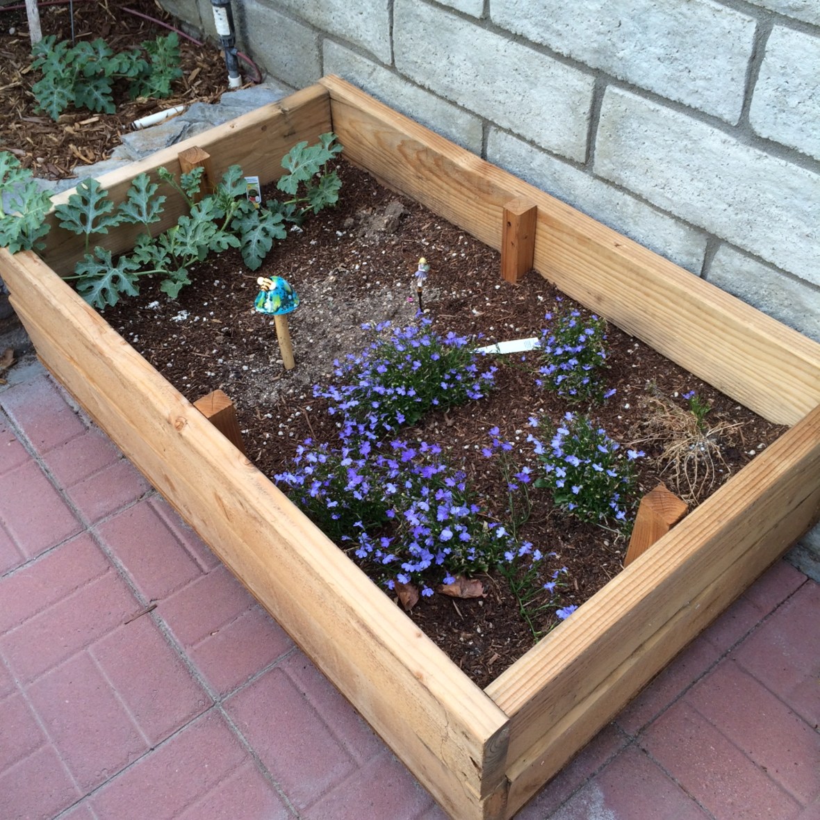 The adorable garden Greg built for his daughter