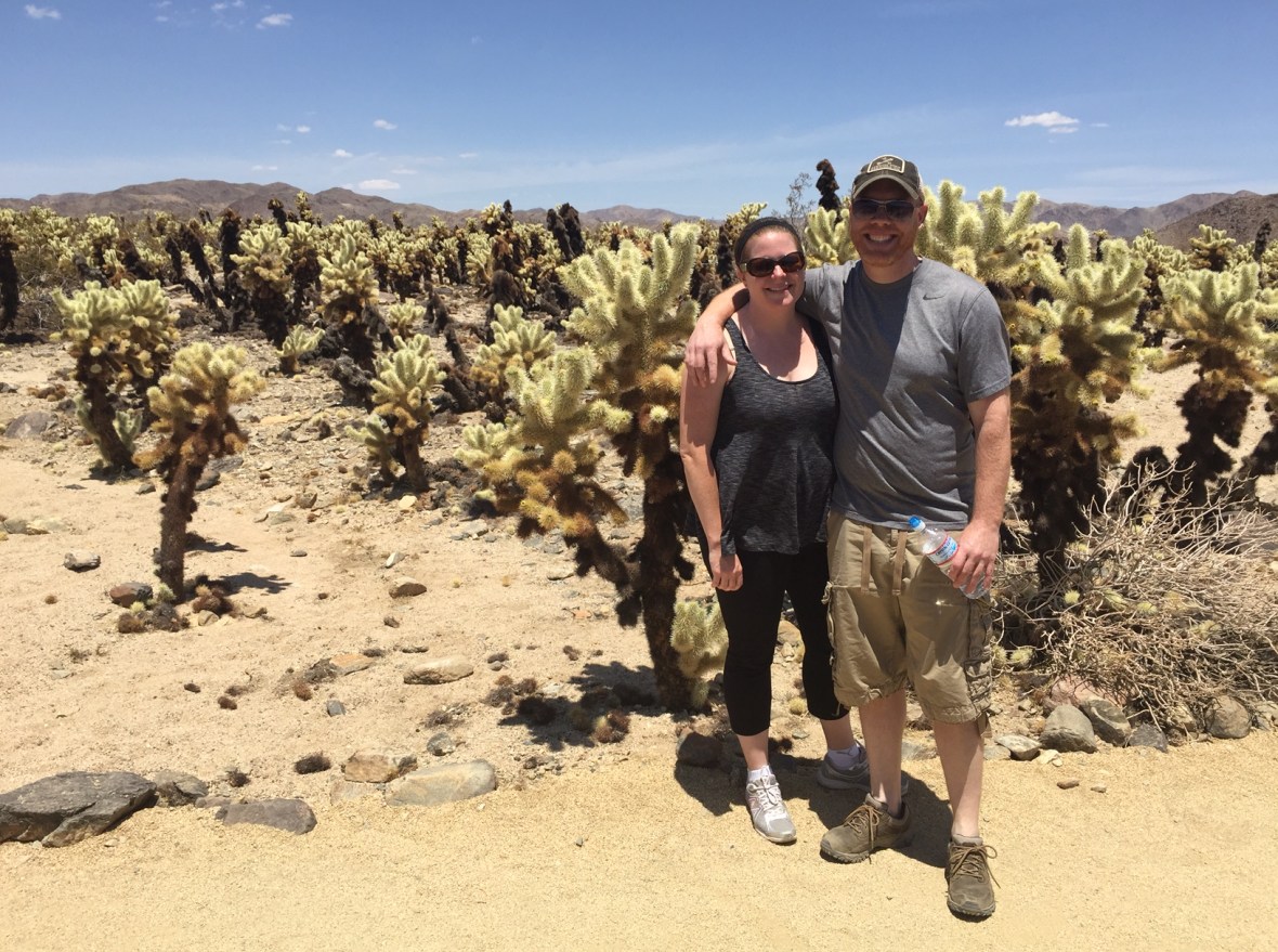 Cholla Cactus Garden