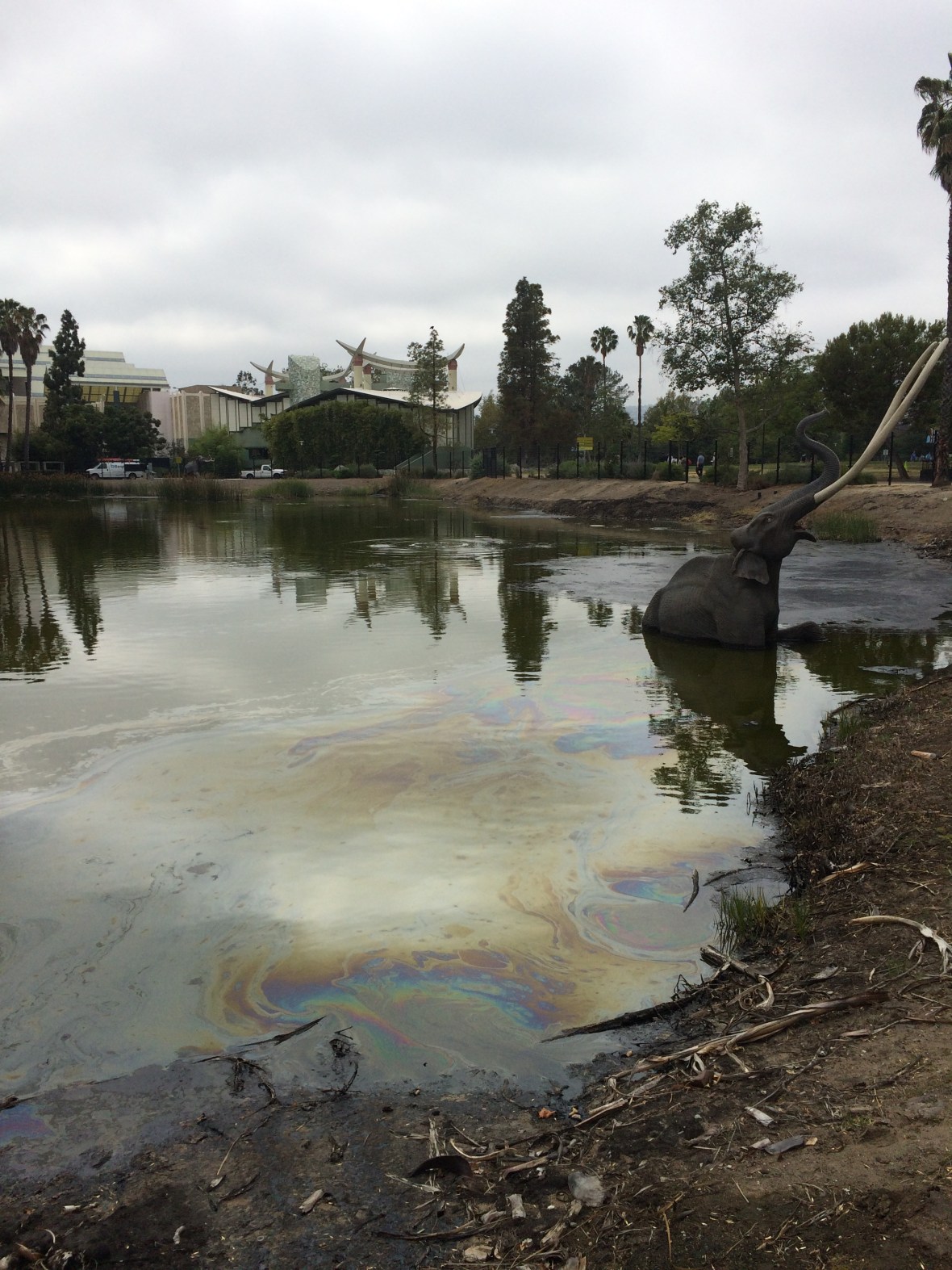 Lake Pit...bubbles of methane and all!