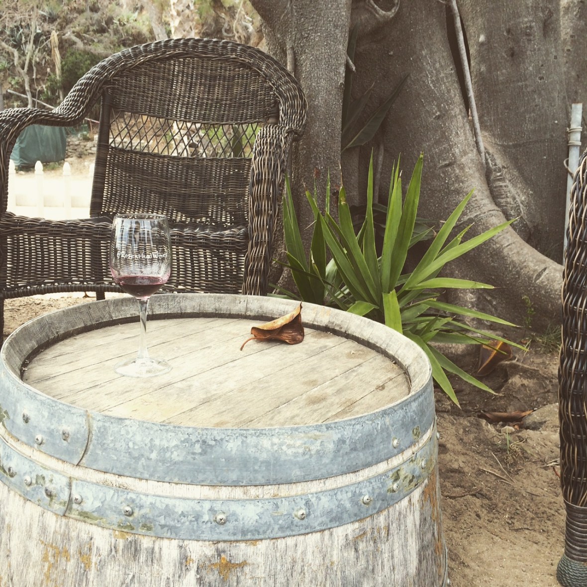 The back patio of Rosenthal. I had it all to myself!